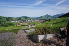 16. Fv R Appenzell
