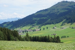 17. Fv R Appenzell