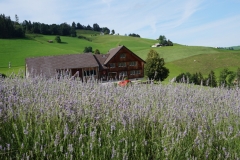 19. Fv R Appenzell
