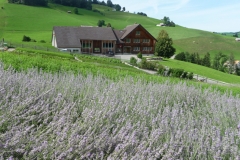 37. Fv R Appenzell