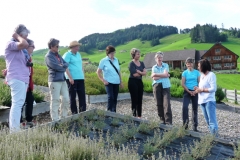 39. Fv R Appenzell