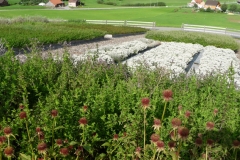40. Fv R Appenzell