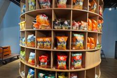 WhatsApp-Image-2026-02-11-at-06.16.23-10