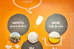 WhatsApp-Image-2026-02-11-at-06.16.23-5