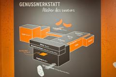 WhatsApp-Image-2026-02-11-at-06.16.23-8