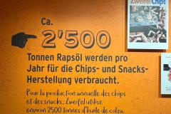 WhatsApp-Image-2026-02-11-at-06.16.23